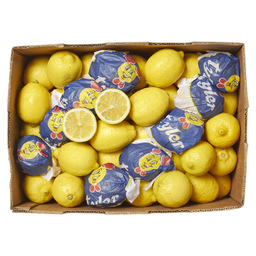 Citrons vrac