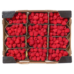 Raspberry holland