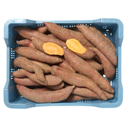 Sweet potatoes holland