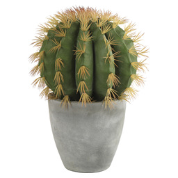 Cactus 18xh61cm/grijze pot