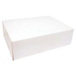 Pastry box 26x20x8 white
