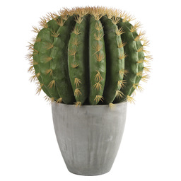 Cactus 55xh74cm/grijze pot