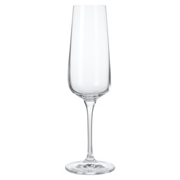 Ovid champagne glas - set à 4 stuks