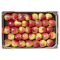 Pommes kanzi hollande