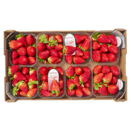 Strawberry import spain esther