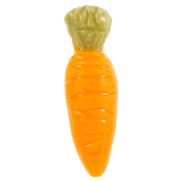 Carrot wortel