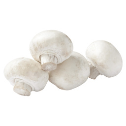 Mushroom white button