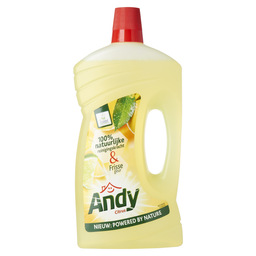 Andy allesreiniger citroen