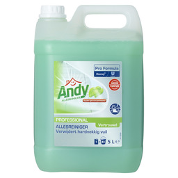Andy nettoie-tout prof normal