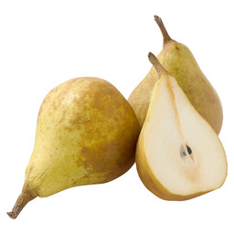 Pear stewing large gieser wildeman