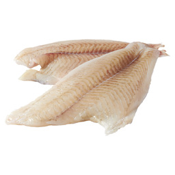 Brill fillet from brill 1 n/s