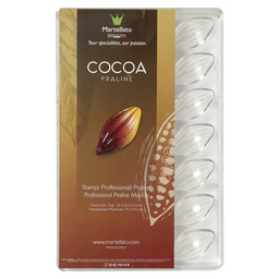 Cocoa praline