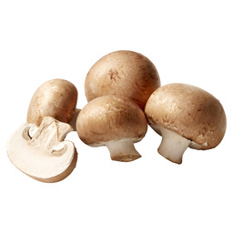 Mushroom chestnut button
