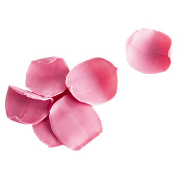 Rozen petals roze