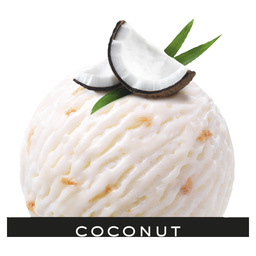 Roomijs coconut cream