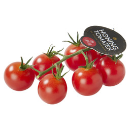 Tomaat cherry tros  honingtomaten (kort)