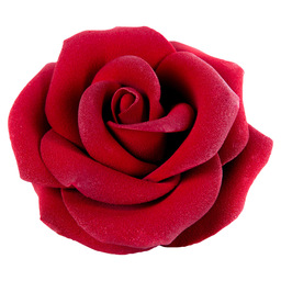 Chocolate signature rose
