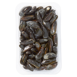 Mussels medium