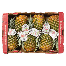 Pineapple gold large