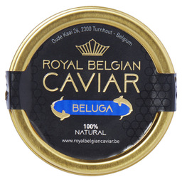 Caviar beluga royal belgian caviar