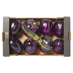 Aubergine violet  italie