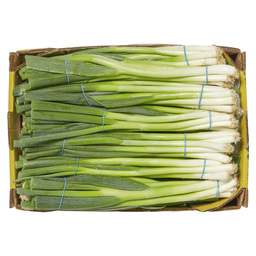 Spring onions import short