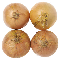Onion dutch course 75/105