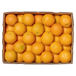 Oranges jus grosses