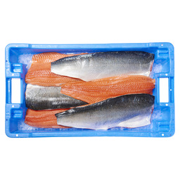 Salmon fillet trim c skin on scaled 4/5