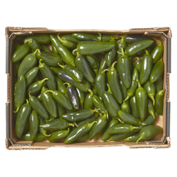 Pepper jalapeno green