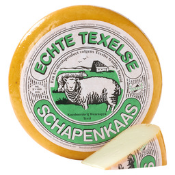 Young Texel sheep cheese