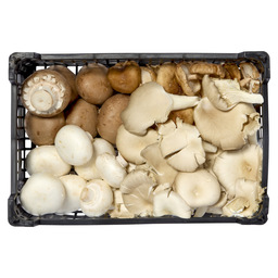 Mushroom mix classic