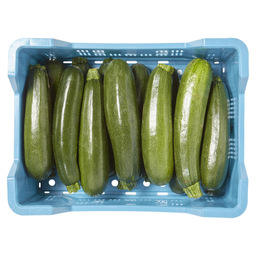 Zucchini gruen