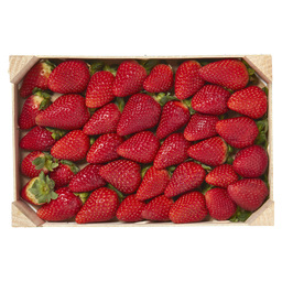 Erdbeeren import
