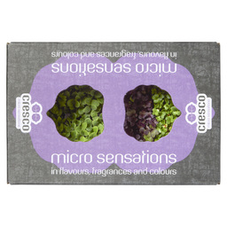 Micro greens mix box medium