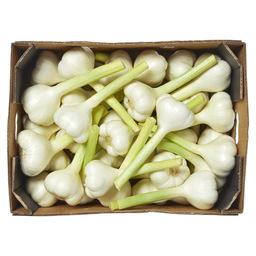 Garlic nat (fresh)