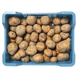 Potato opperdoes