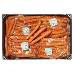 Winter carrot bio