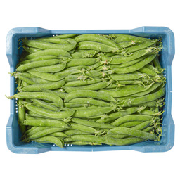 Green peas import