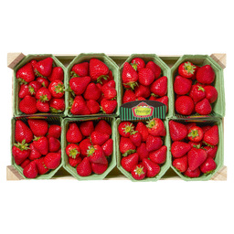 Erdbeeren holland