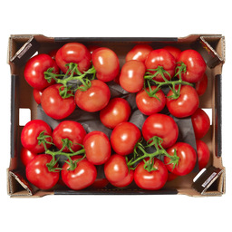 Tomato bunch