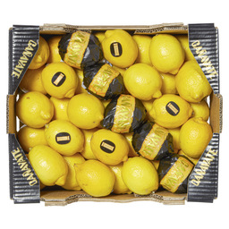 Citrons caissette 5 kg