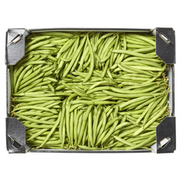 Green beans/french beans