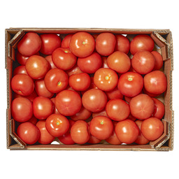 Tomato b