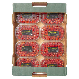 Tomato tomberry red