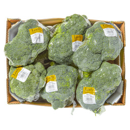 Broccoli import