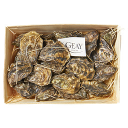 Oysters speciales geay no. 3