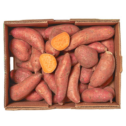 Potato sweet (orange flesh)