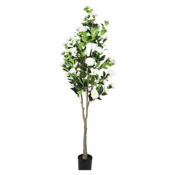 Plante artificielle Camellia blanche 180cm