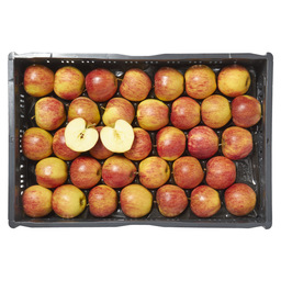 Pommes jonagold, grosses pays-bas 80 - 8